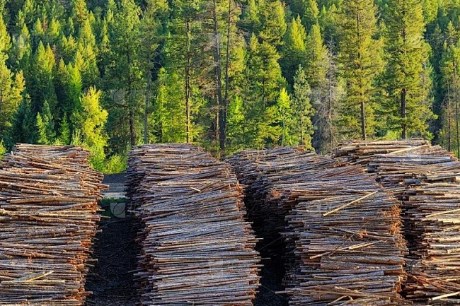 news-658-438 news-658-438